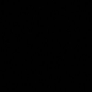 Meet your Posher, Niko